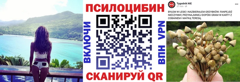 OMG онион  Кувшиново  Псилоцибиновые грибы Psilocybine cubensis 