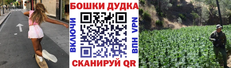 Шишки марихуана марихуана  Кувшиново 